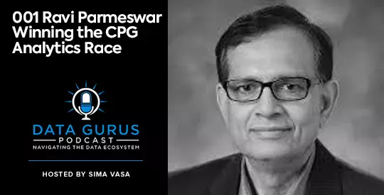 Ravi Parmeswar Winning the CPG Analytics Race Data Gurus Podcast